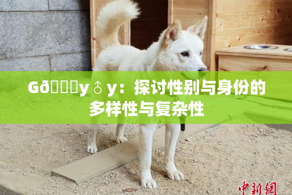 G🈚y♂y：探讨性别与身份的多样性与复杂性