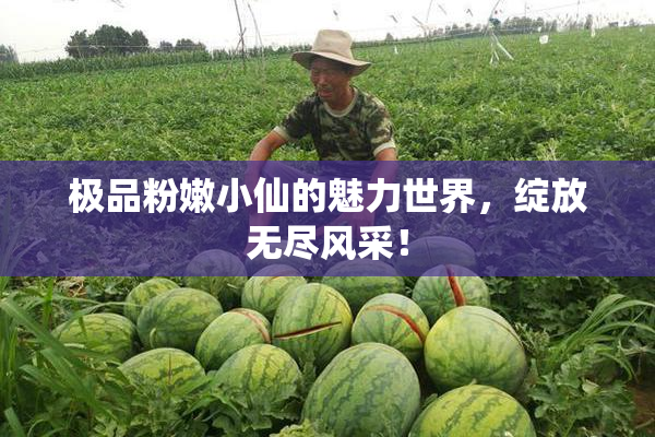 极品粉嫩小仙的魅力世界，绽放无尽风采！