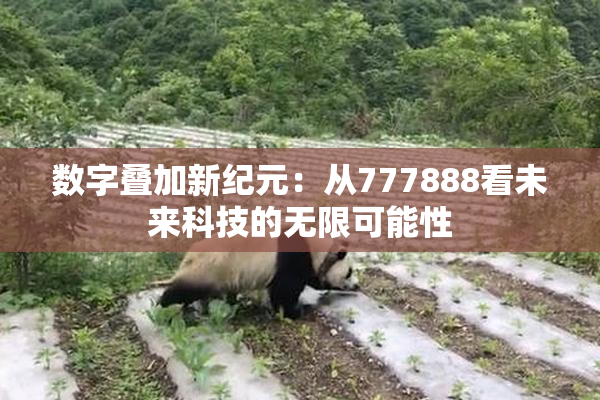 数字叠加新纪元：从777888看未来科技的无限可能性