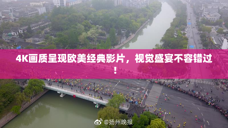 4K画质呈现欧美经典影片，视觉盛宴不容错过！