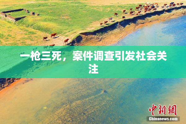 一枪三死，案件调查引发社会关注
