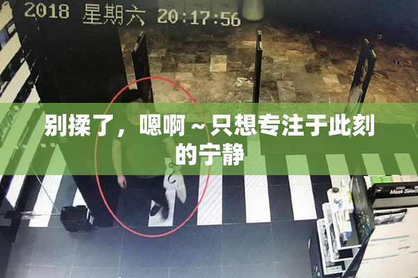 别揉了，嗯啊～只想专注于此刻的宁静