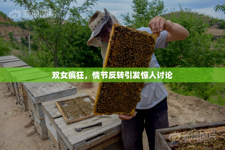 双女疯狂，情节反转引发惊人讨论