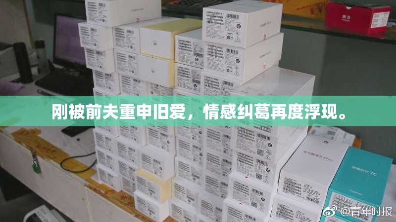 刚被前夫重申旧爱，情感纠葛再度浮现。