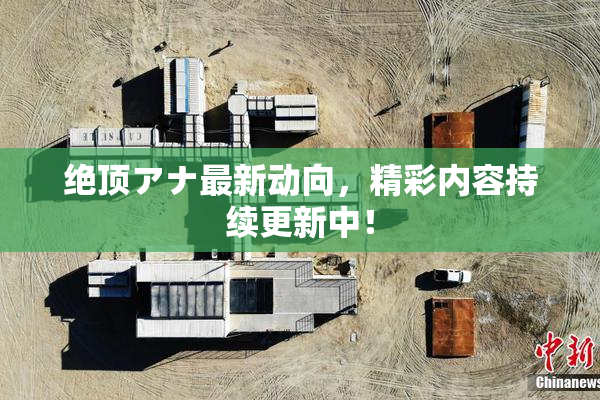 绝顶アナ最新动向，精彩内容持续更新中！