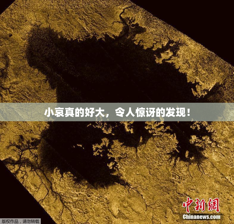 小哀真的好大，令人惊讶的发现！