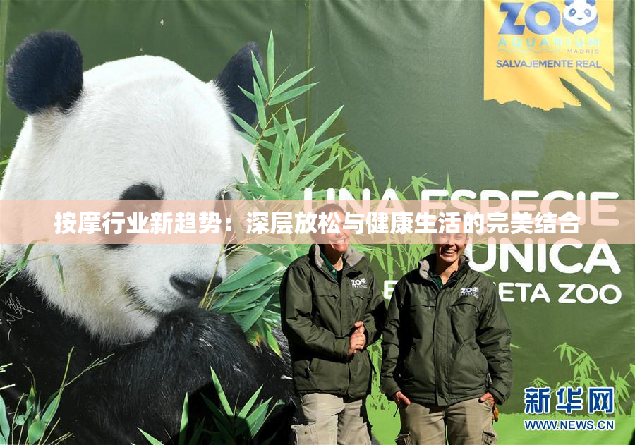 按摩行业新趋势：深层放松与健康生活的完美结合
