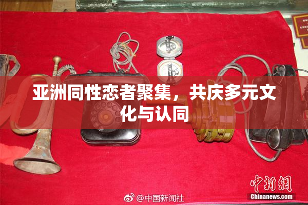 亚洲同性恋者聚集，共庆多元文化与认同