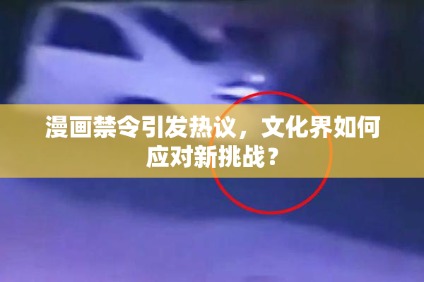 漫画禁令引发热议，文化界如何应对新挑战？