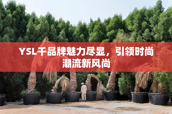 YSL千品牌魅力尽显，引领时尚潮流新风尚