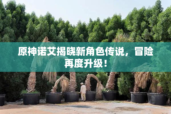 原神诺艾揭晓新角色传说，冒险再度升级！