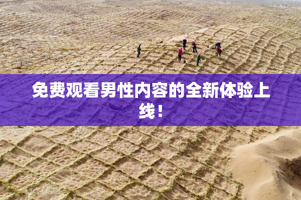 免费观看男性内容的全新体验上线！