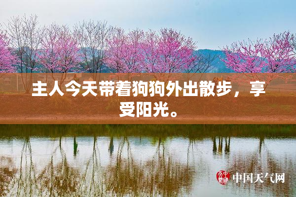 主人今天带着狗狗外出散步，享受阳光。