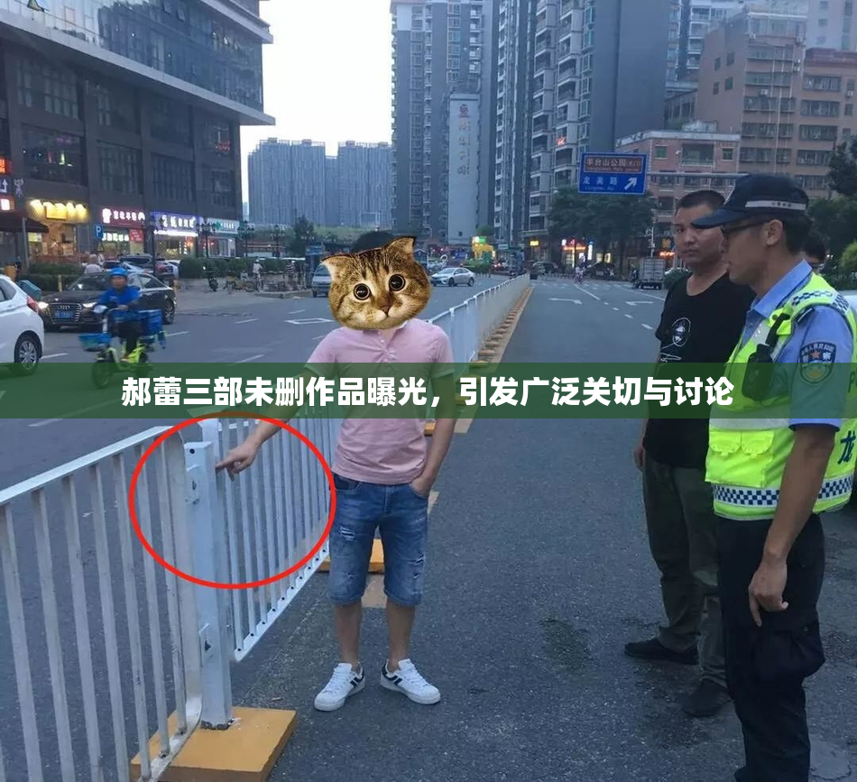 郝蕾三部未删作品曝光，引发广泛关切与讨论