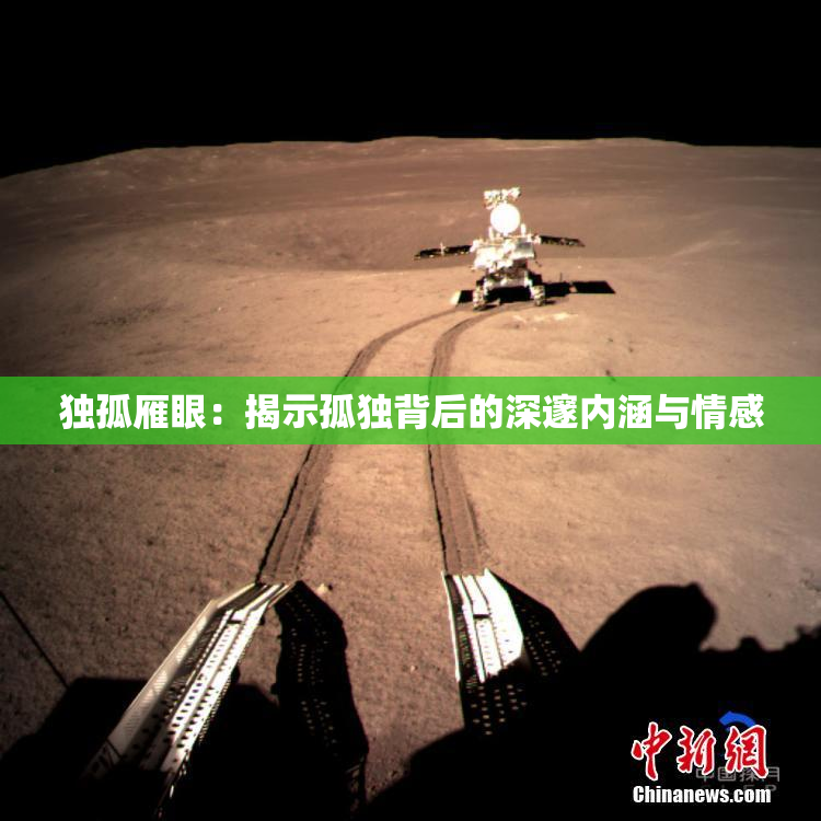 独孤雁眼：揭示孤独背后的深邃内涵与情感