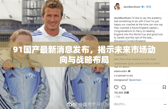 91国产最新消息发布，揭示未来市场动向与战略布局