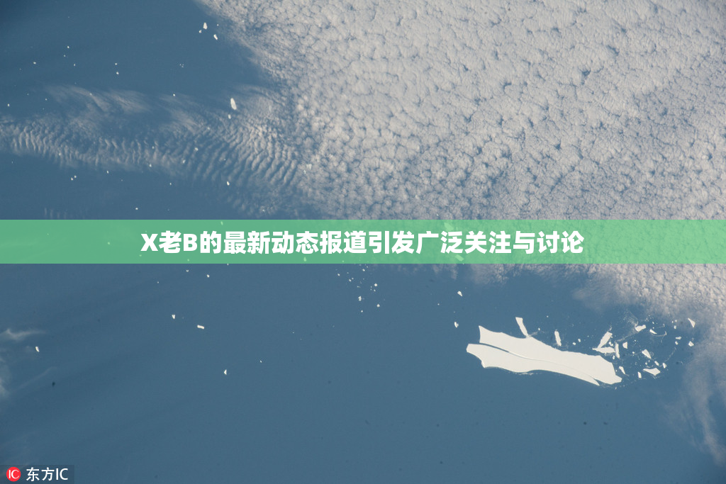 X老B的最新动态报道引发广泛关注与讨论