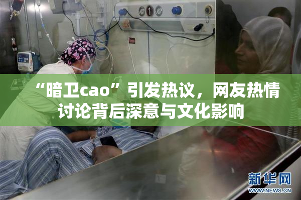 “暗卫cao”引发热议，网友热情讨论背后深意与文化影响