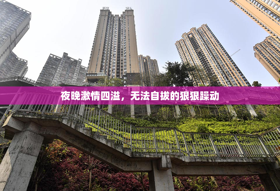 夜晚激情四溢，无法自拔的狠狠躁动