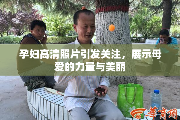 孕妇高清照片引发关注，展示母爱的力量与美丽