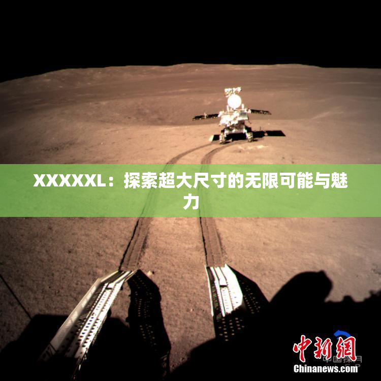 XXXXXL：探索超大尺寸的无限可能与魅力