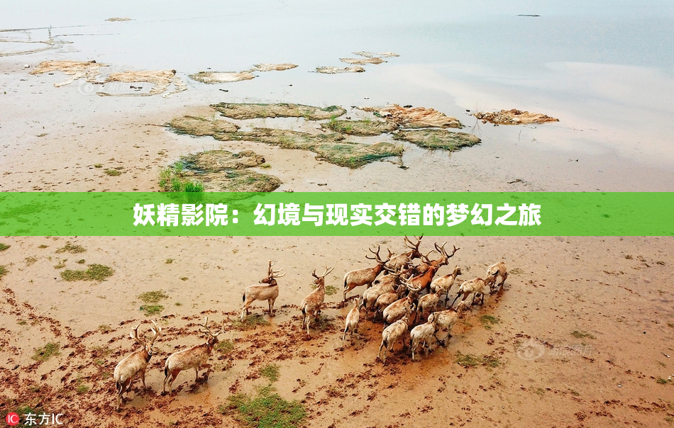 妖精影院：幻境与现实交错的梦幻之旅