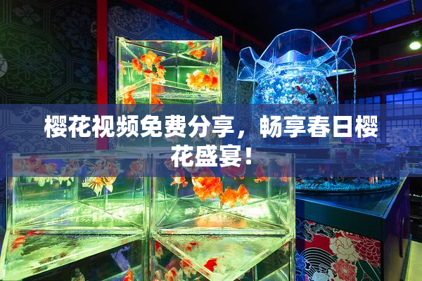 樱花视频免费分享，畅享春日樱花盛宴！