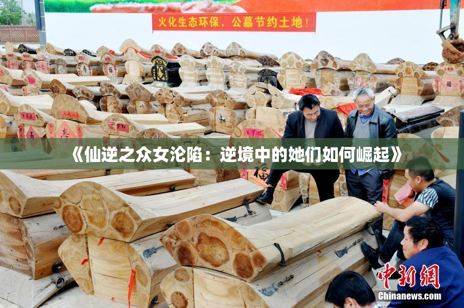 《仙逆之众女沦陷：逆境中的她们如何崛起》