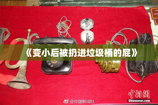 《变小后被扔进垃圾桶的屁》