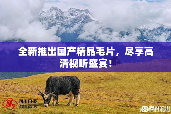 全新推出国产精品毛片，尽享高清视听盛宴！