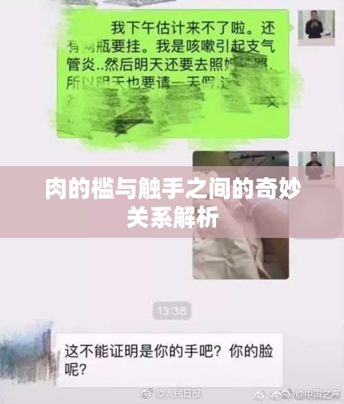 肉的槛与触手之间的奇妙关系解析