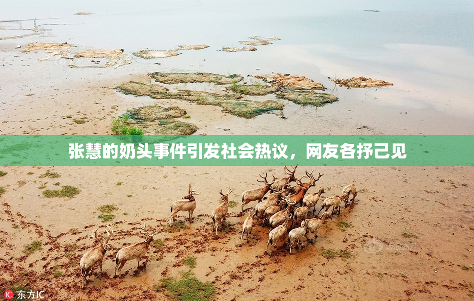 张慧的奶头事件引发社会热议，网友各抒己见