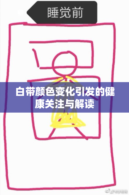 白带颜色变化引发的健康关注与解读