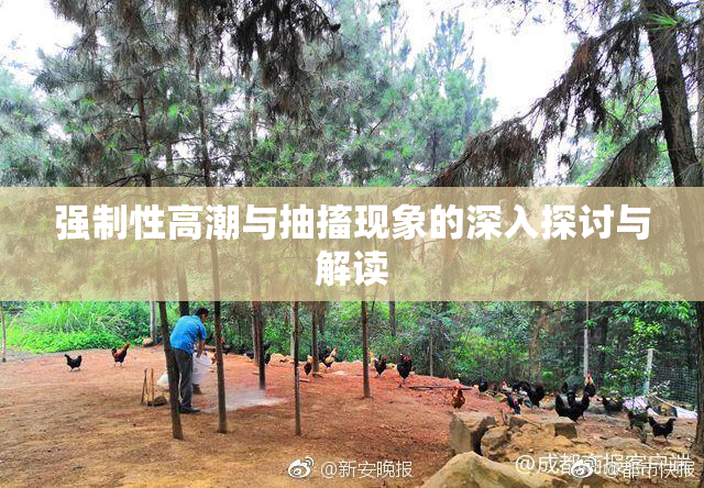 强制性高潮与抽搐现象的深入探讨与解读