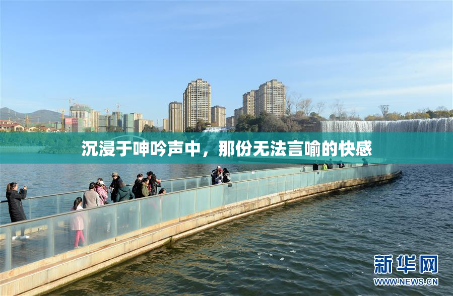 沉浸于呻吟声中，那份无法言喻的快感