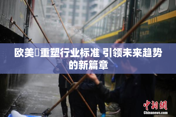 欧美巜重塑行业标准 引领未来趋势的新篇章