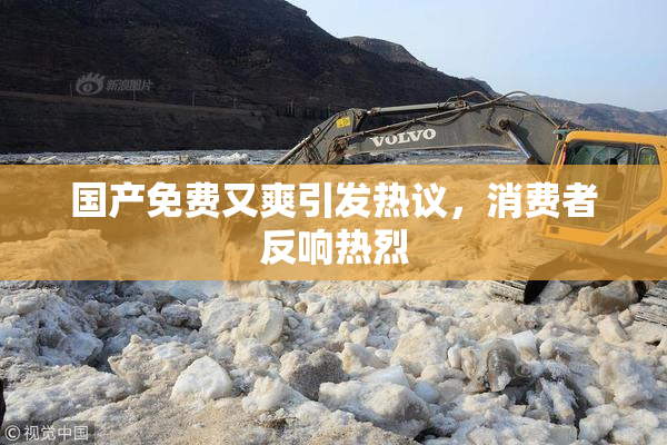 国产免费又爽引发热议，消费者反响热烈