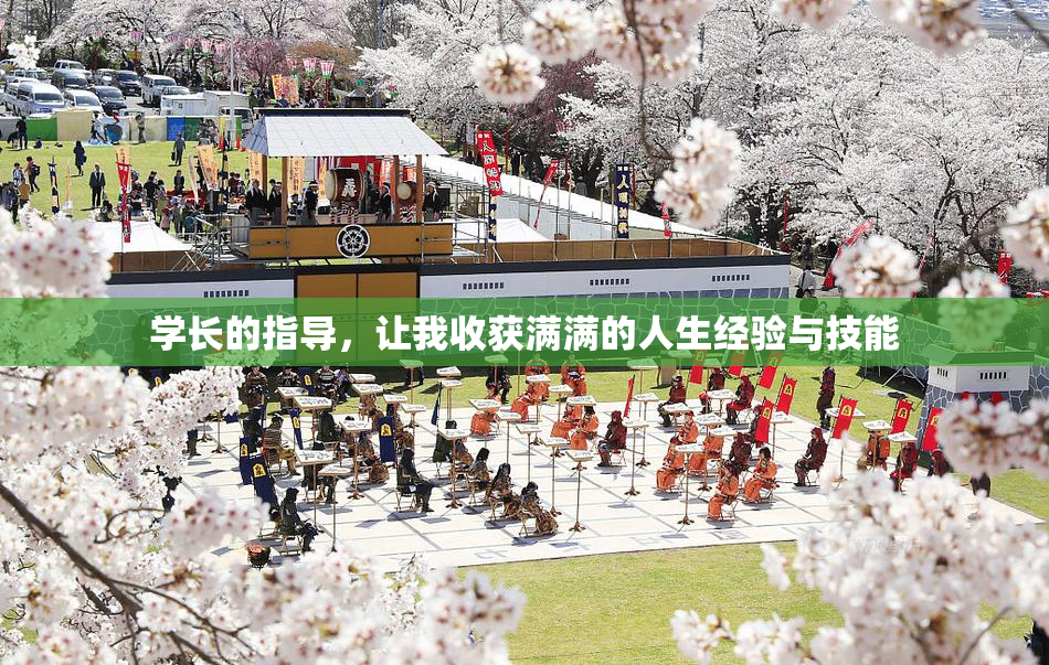学长的指导，让我收获满满的人生经验与技能