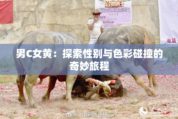男C女黄：探索性别与色彩碰撞的奇妙旅程