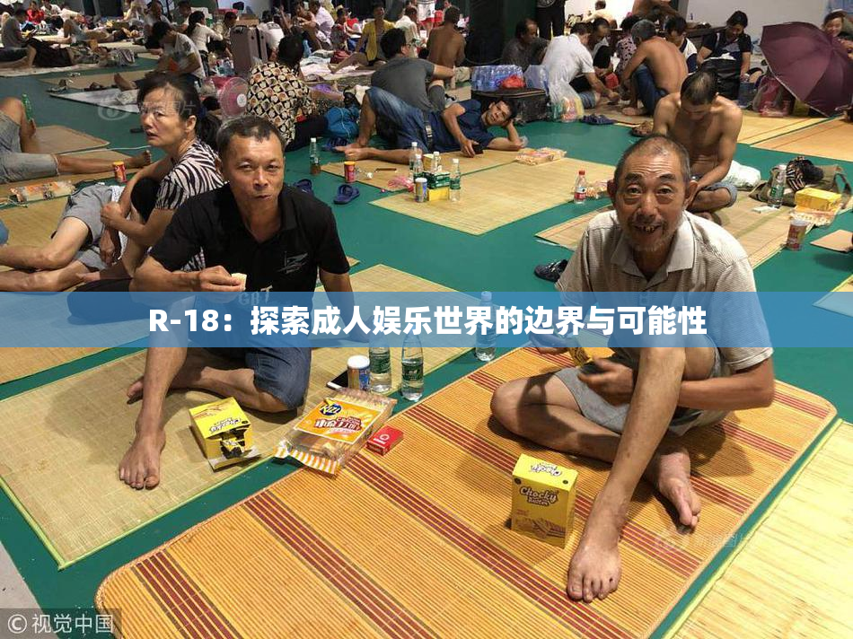 R-18：探索成人娱乐世界的边界与可能性