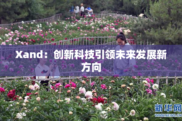 Xand：创新科技引领未来发展新方向