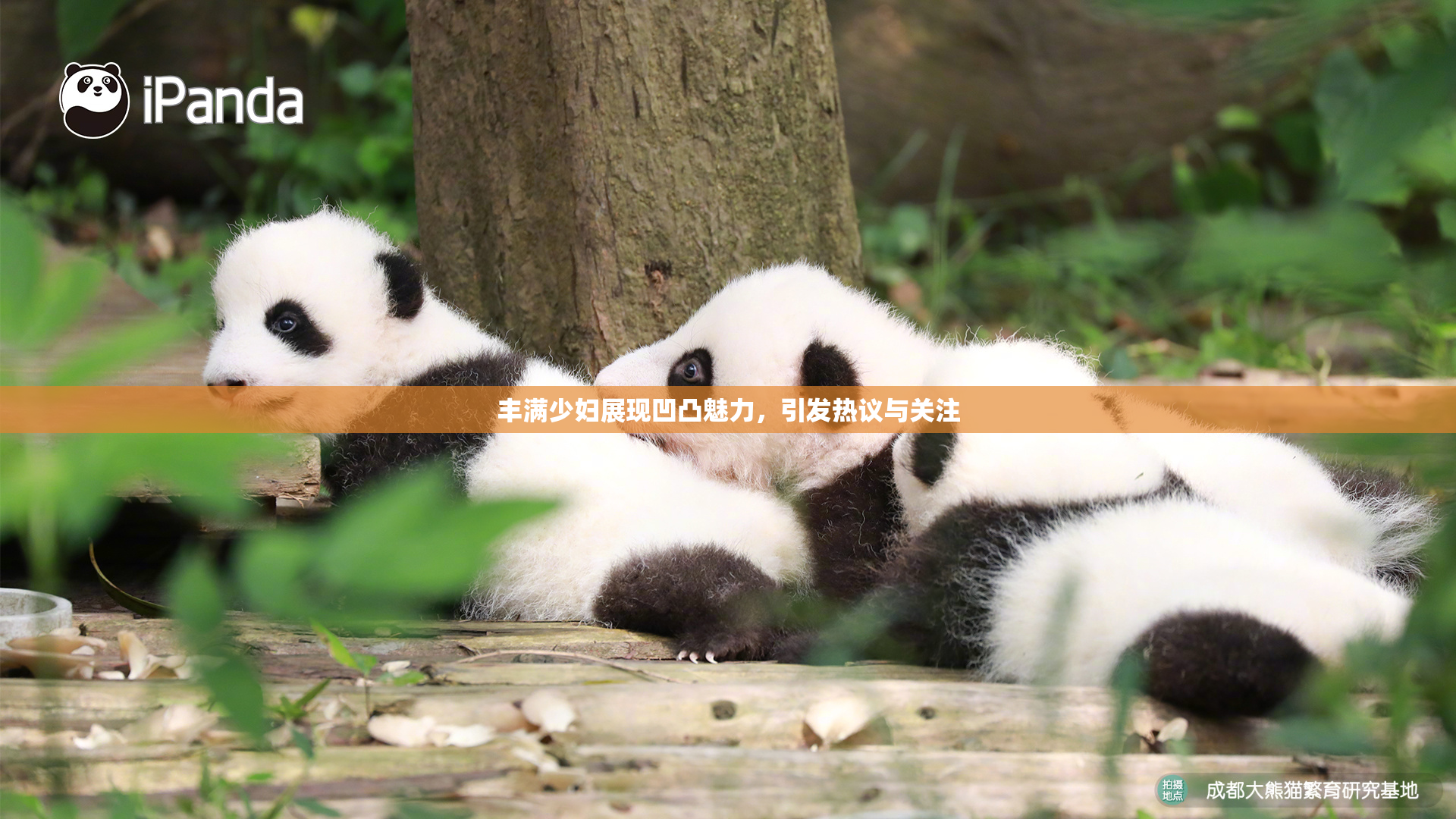 丰满少妇展现凹凸魅力，引发热议与关注