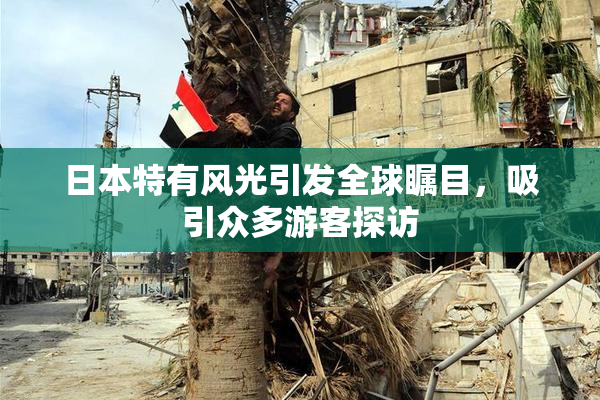 日本特有风光引发全球瞩目，吸引众多游客探访
