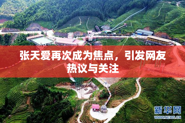 张天爱再次成为焦点，引发网友热议与关注