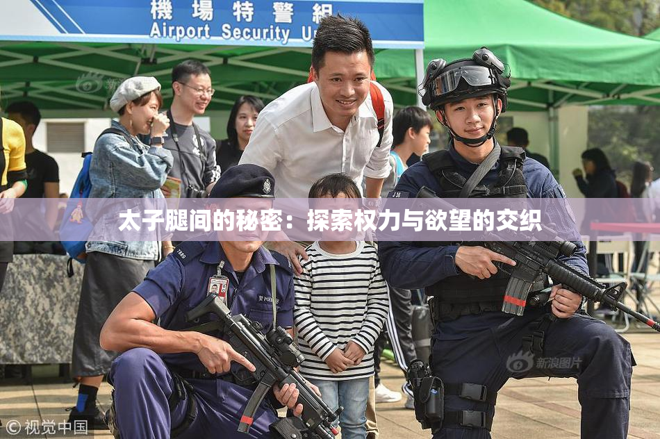 太子腿间的秘密：探索权力与欲望的交织