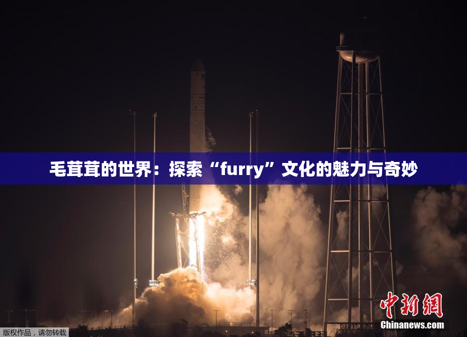 毛茸茸的世界：探索“furry”文化的魅力与奇妙