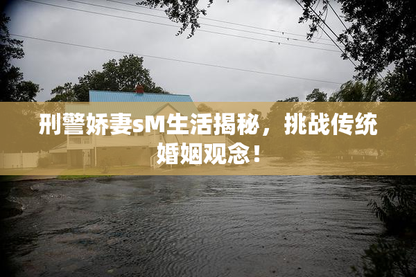 刑警娇妻sM生活揭秘，挑战传统婚姻观念！