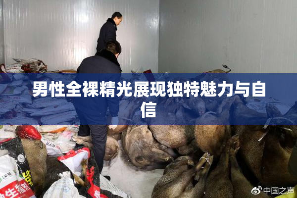 男性全裸精光展现独特魅力与自信