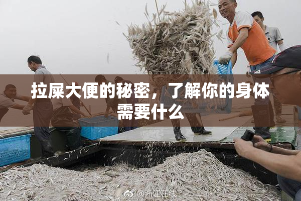 拉屎大便的秘密，了解你的身体需要什么