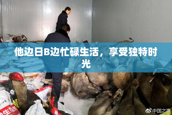 他边日B边忙碌生活，享受独特时光